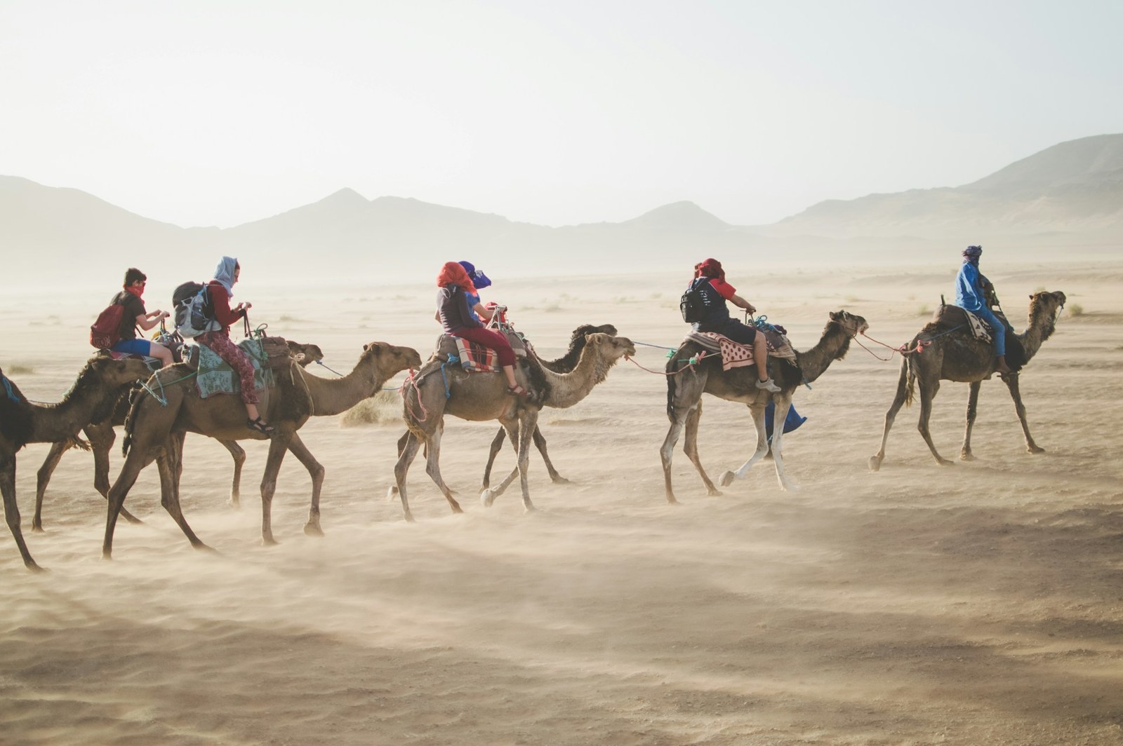 Travellers riding camels through a desert