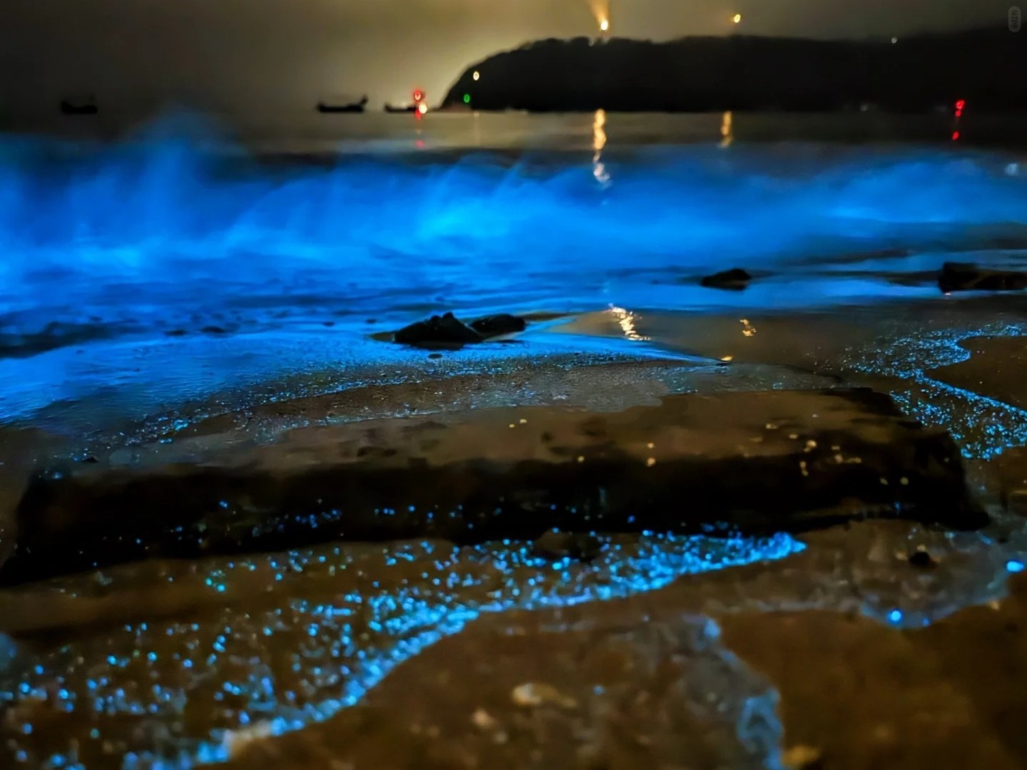 Blue glowing waves on a beach at night
