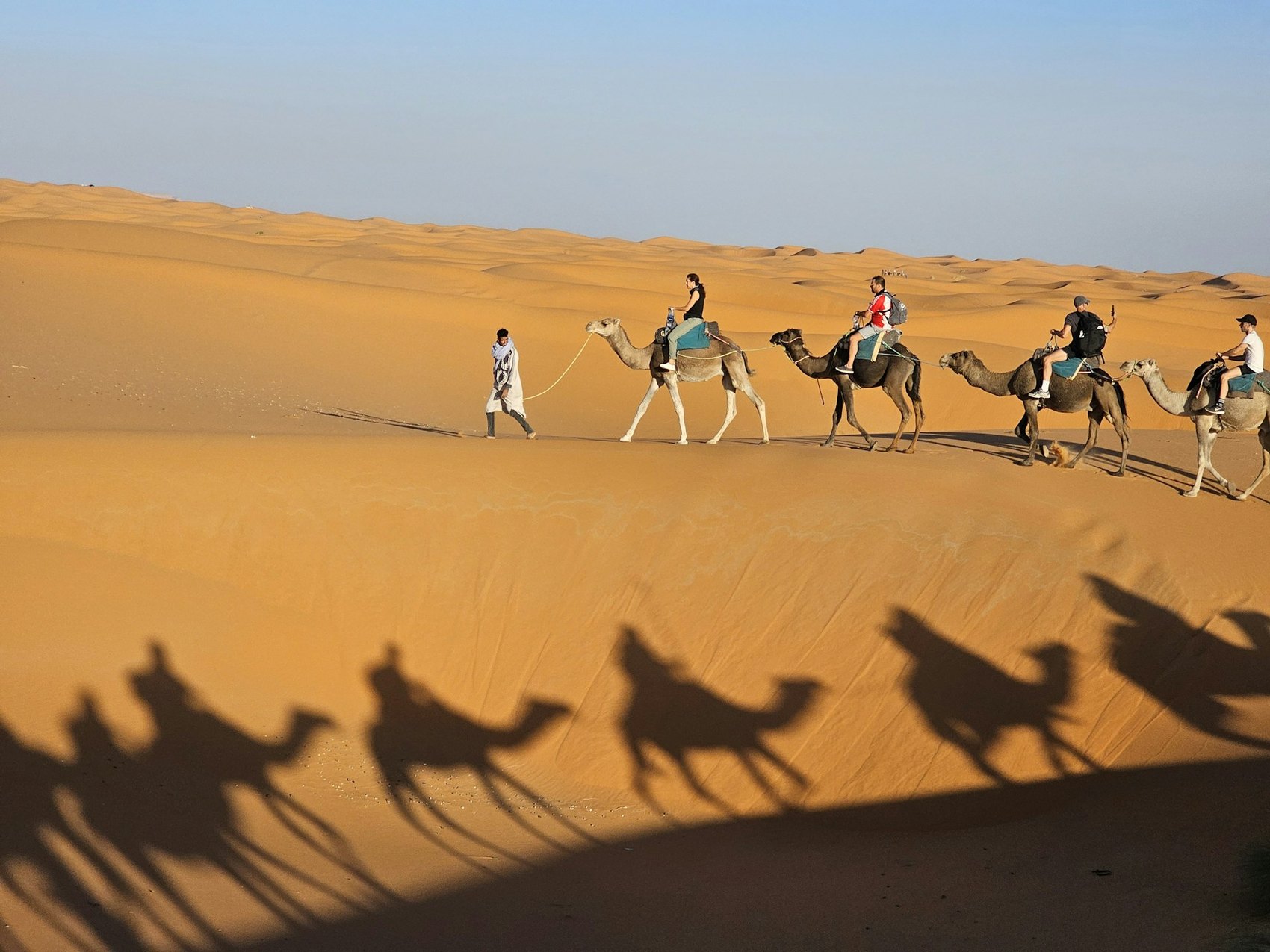 Camel caravan and sand dunes in western China